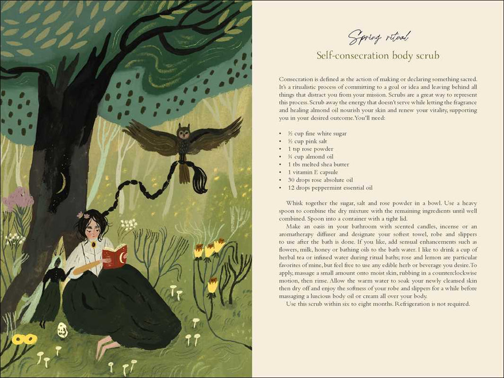 2026 Seasons of the Witch Planner Calendar by Lorriane  Anderson